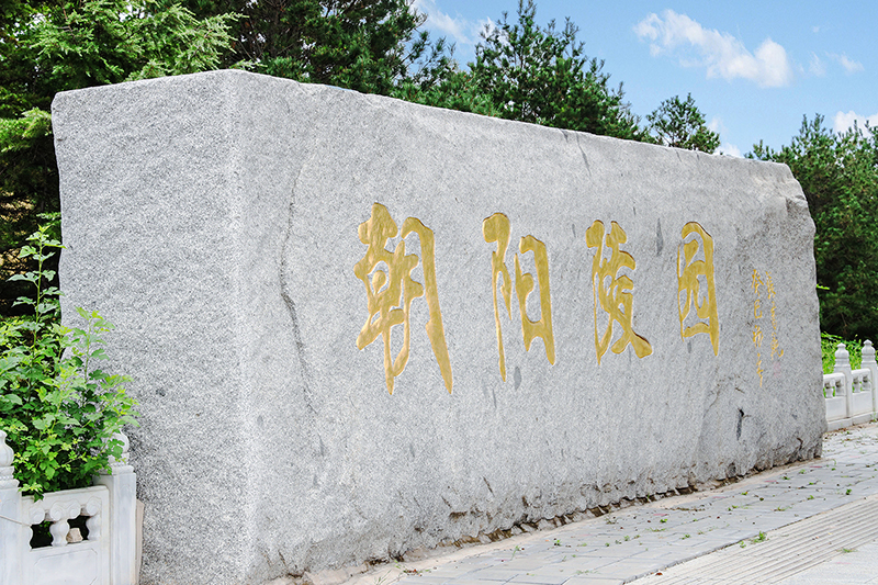 BD4A5873.JPG