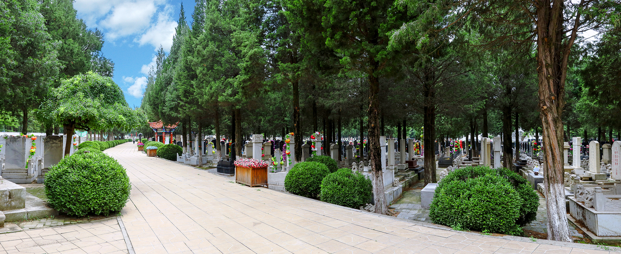 全景图2.jpg