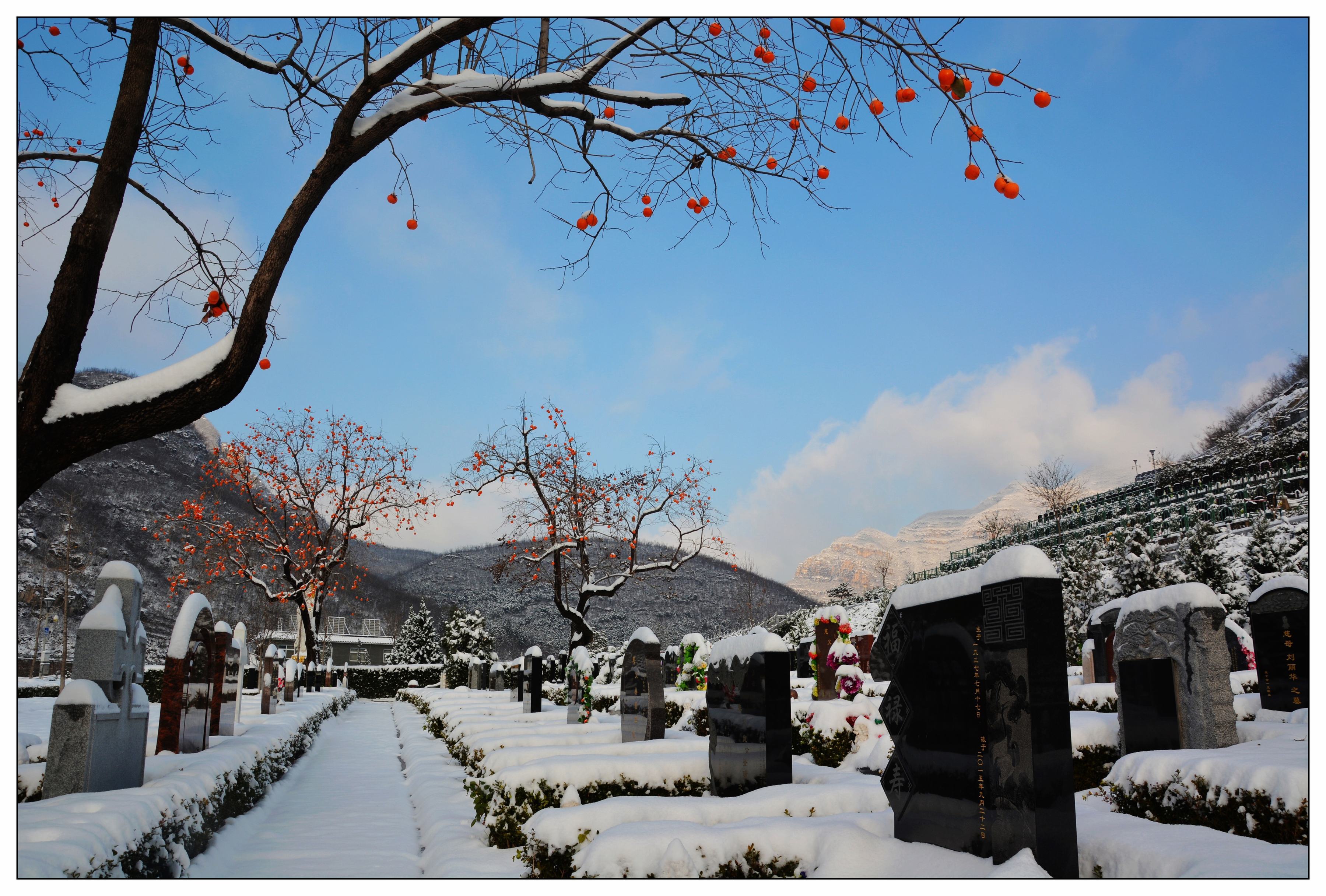 冬天雪景.jpg