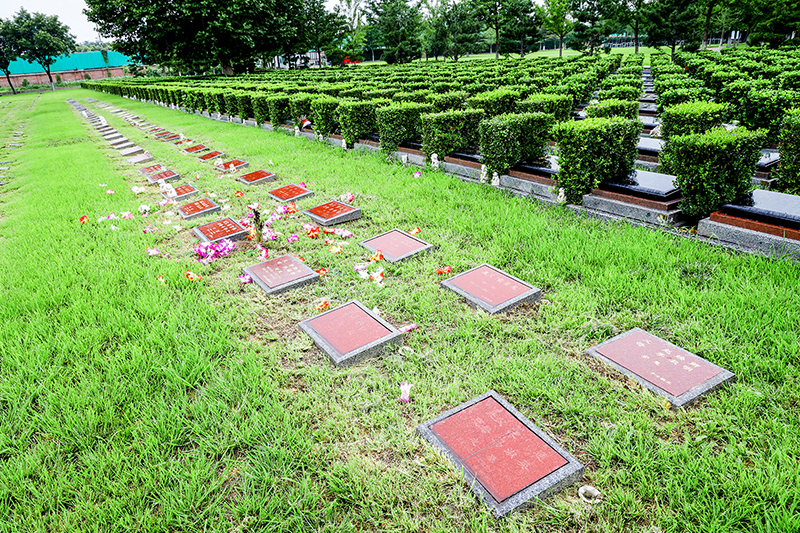 长青园骨灰林：城市中的生命纪念花园