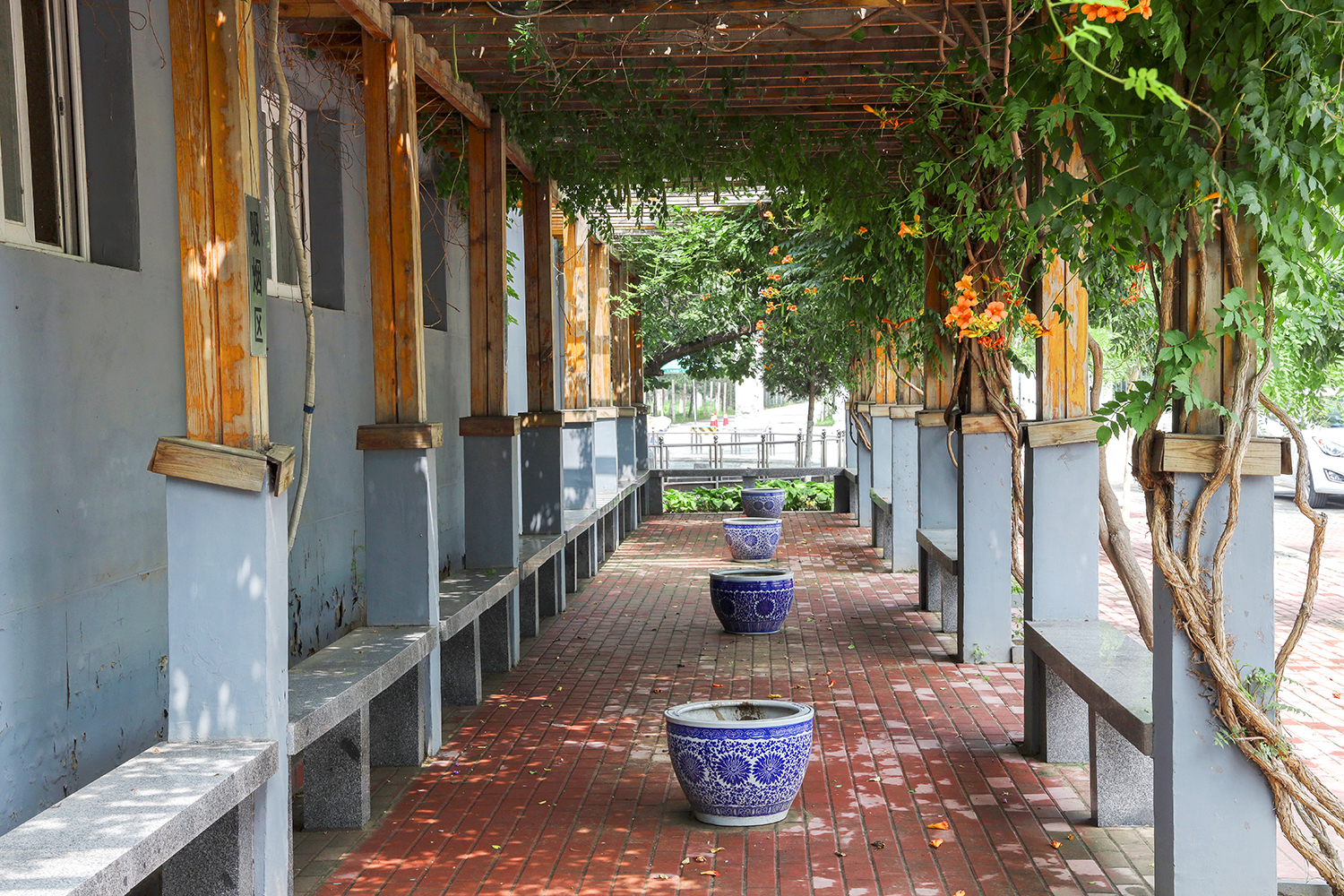 思亲园服务怎么样？以专业与温情，守护每一份思念